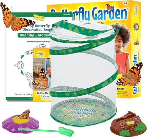 Insect Lore Butterfly Garden Kit,
